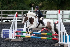 Class 3 -  Fences not above 2'3